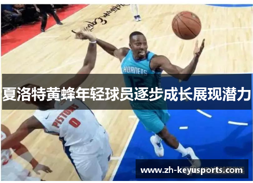 夏洛特黄蜂年轻球员逐步成长展现潜力